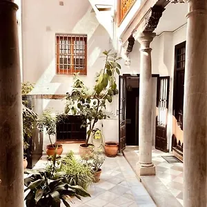 https://charming-spacious-albayzin-apartment.es-andalucia.com