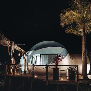 https://greenland-bubble-glamping.comcaribbean.com