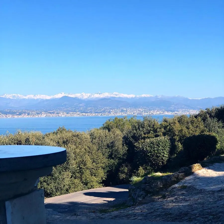 Charming And Modernly Designed 2 Bedroom - Old Town Antibes Apartment